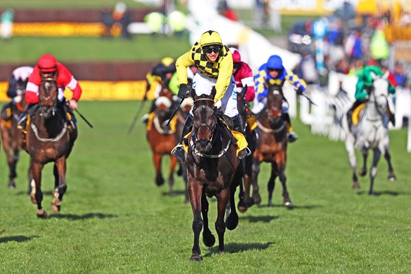 Paul Townend & Al Boum Photo win successive Gold Cups Cheltenham 2020