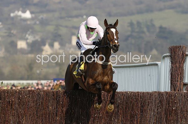 Ruby Walsh riding Vautour Ryannair Chase Cheltenham 2016