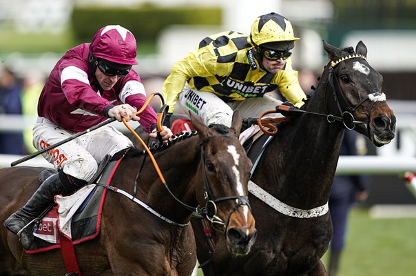 Nico de Boinville & Shishkin Novices Chase Cheltenham 2020