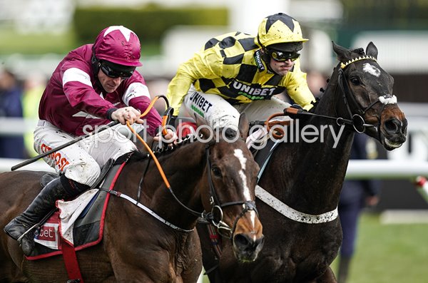 Nico de Boinville & Shishkin Novices Chase Cheltenham 2020