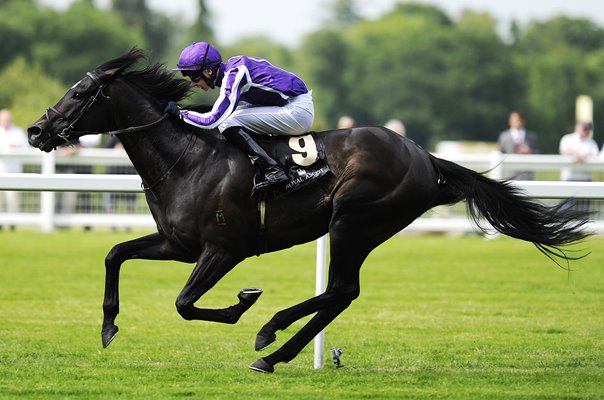 So You Think wins Prince of Wales Stakes 2012