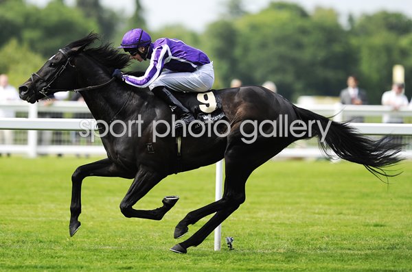 So You Think wins Prince of Wales Stakes 2012