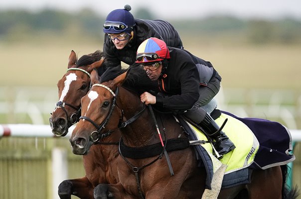 Frankie Dettori riding Enable Newmarket Gallops 2019