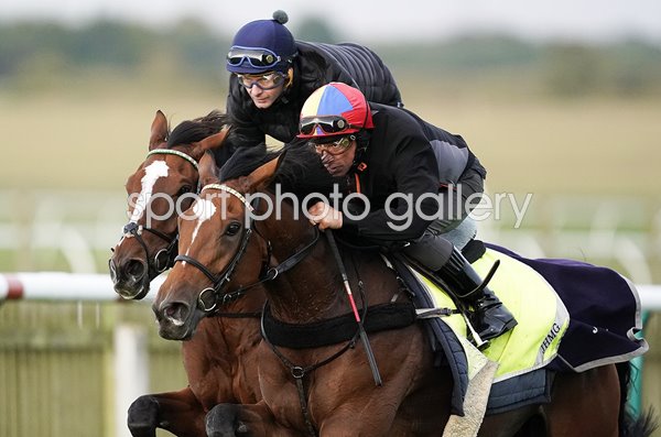 Frankie Dettori riding Enable Newmarket Gallops 2019