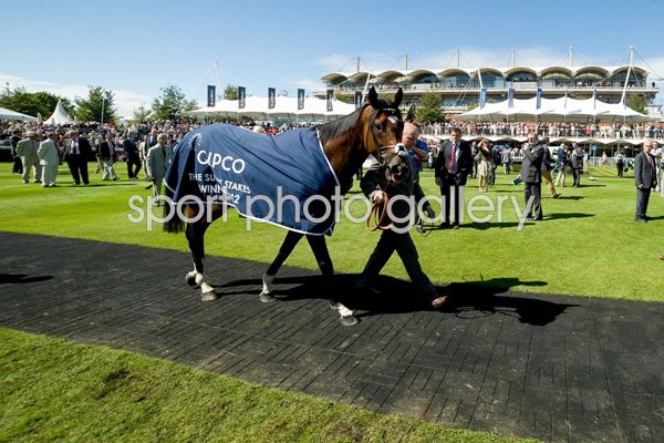 Frankel wins Sussex Stakes Goodwood 2012