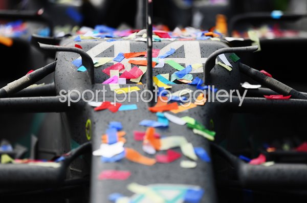 Lewis Hamilton World Championship Winning car #44