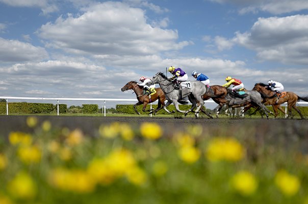 PJ McDonald riding Publicist win The Every Race Kempton 2020