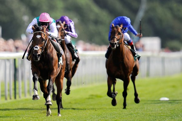 Frankel wins at York Races 2012