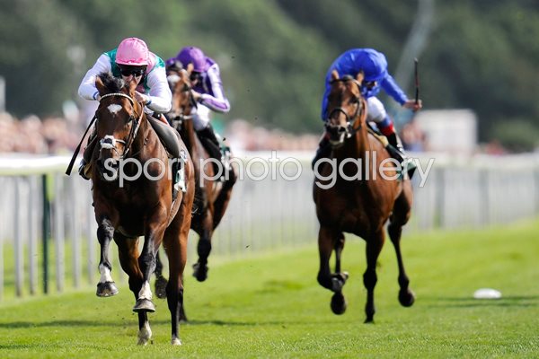 Frankel wins at York Races 2012