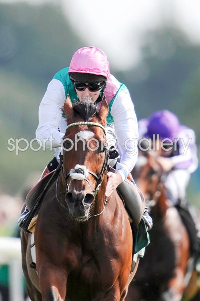 Frankel wins at York Races 2012