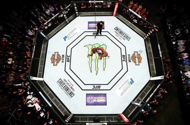 Daniel Cormier v Jon Jones 2 Octagon Overhead View 2017