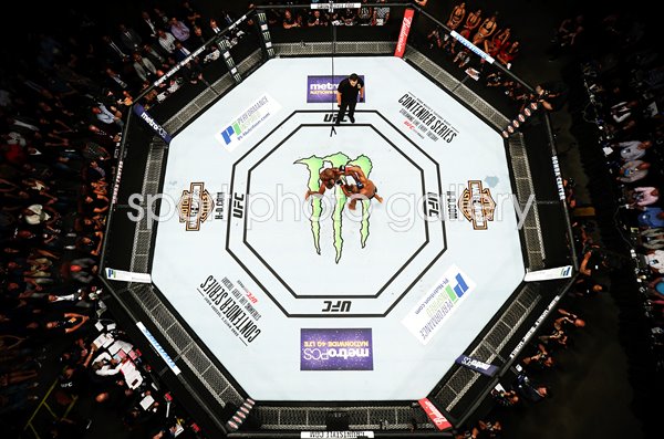 Daniel Cormier v Jon Jones 2 Octagon Overhead View 2017