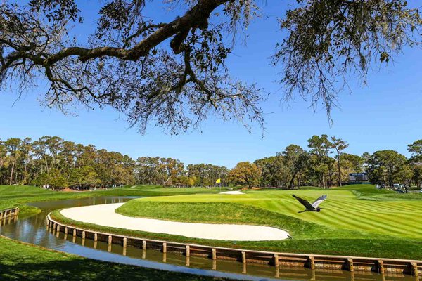 Blue Heron Flypast 11th Hole TPC Sawgrass Players Championship 2021