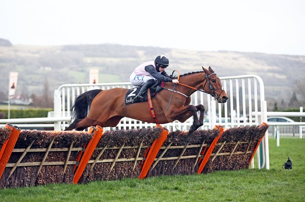 Bob Olinger & jockey Rachael Blackmore Ballymore Novices' Hurdle Cheltenham 2021