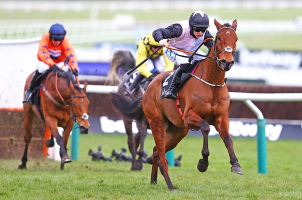 Rachael Blackmore wins Ballymore Novices' Hurdle on Bob Olinger Cheltenham 2021