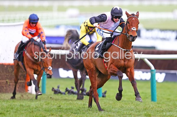 Rachael Blackmore wins Ballymore Novices' Hurdle on Bob Olinger Cheltenham 2021