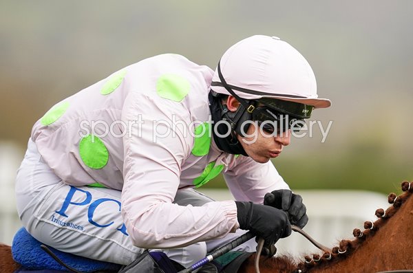 Paul Townend riding Monkfish Cheltenham Festival 2021