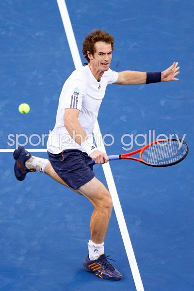 Andy Murray US Open Final 2012