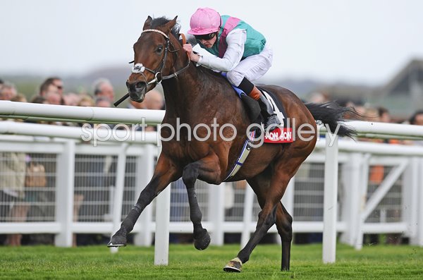 James Doyle riding Kingman win Greenham Stakes Newbury 2014