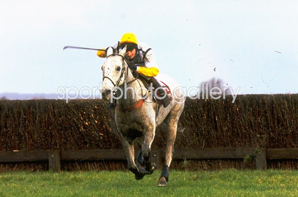 Teeton Mill & Norman Williamson win Hennessey Gold Cup Newbury 1998
