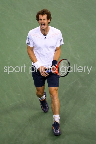 Andy Murray US Open Final 2012