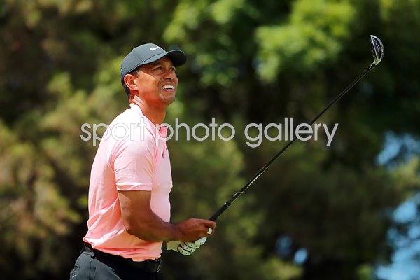 Tiger Woods USA World Golf Championship Mexico City 2019