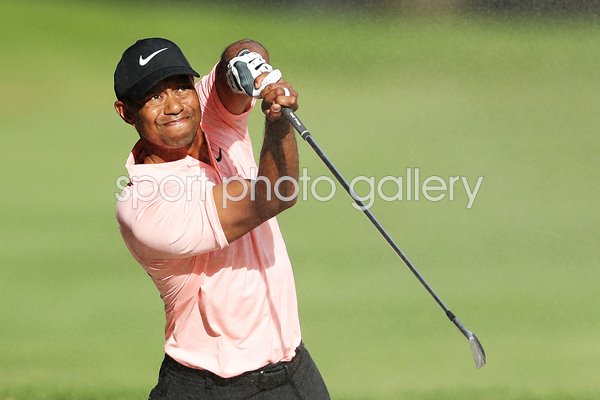 Tiger Woods USA Miracle Fairway Bunker Shot WGC Mexico 2019