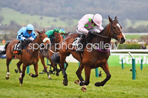 Ruby Walsh & Vroum Vroum win Mares Hurdle Cheltenham 2016