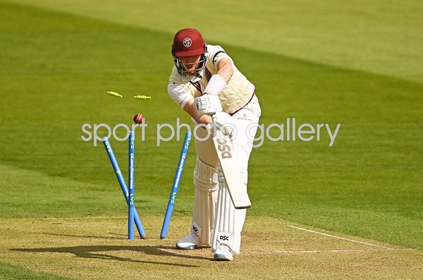 Craig Overton Somerset bowled by Toby Roland Jones Middlesex 2021