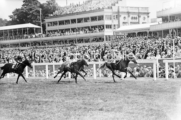 Right Boy, Red Sovereign and Capuchon Ascot 1959