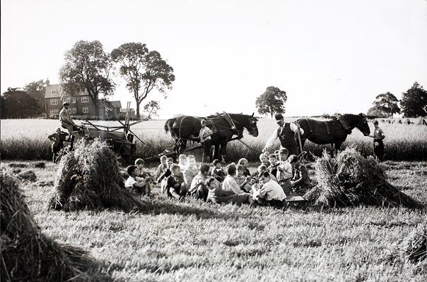 Orphanage Boys Learning the Art of Farming
