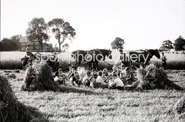 Orphanage Boys Learning the Art of Farming