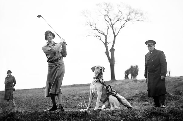 Vera White Surbiton golf club with her dog 'Barney' Canine Caddie 1931