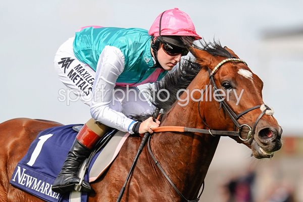 Tom Quelly & Frankel Newmarket 2012