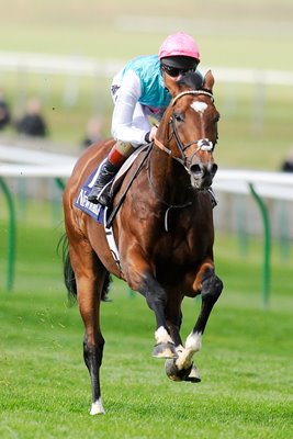 Frankel trains at Newmarket September 2012