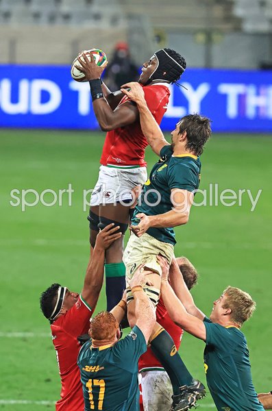 Maro Itoje British & Irish Lions v South Africa Cape Town 2021