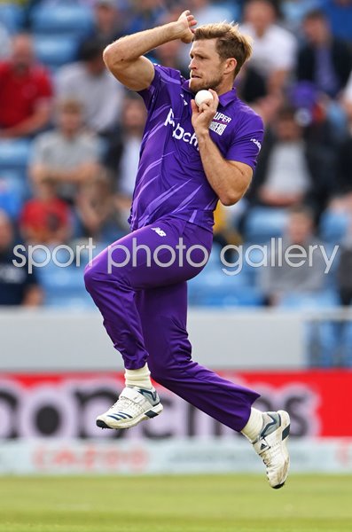 David Willey Northern Superchargers bowls v Welsh Fire Hundred 2021
