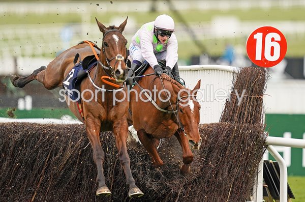 Paul Townend riding Monkfish Cheltenham Festival 2021 