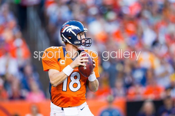 Peyton Manning Quarterback Denver Broncos 2014 Playoffs