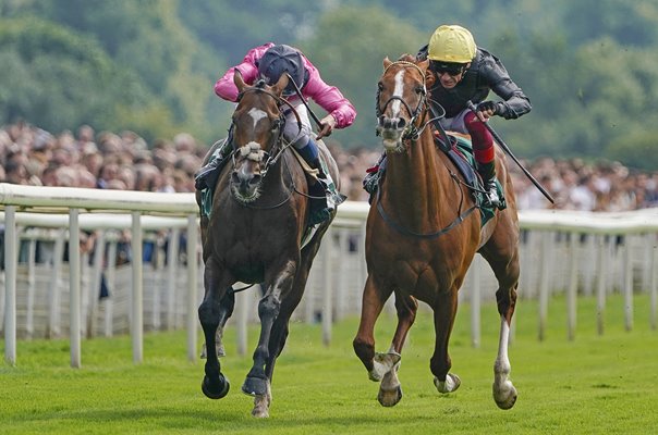 Frankie Dettori riding Stradivarius wins Lonsdale Cup Stakes York 2021