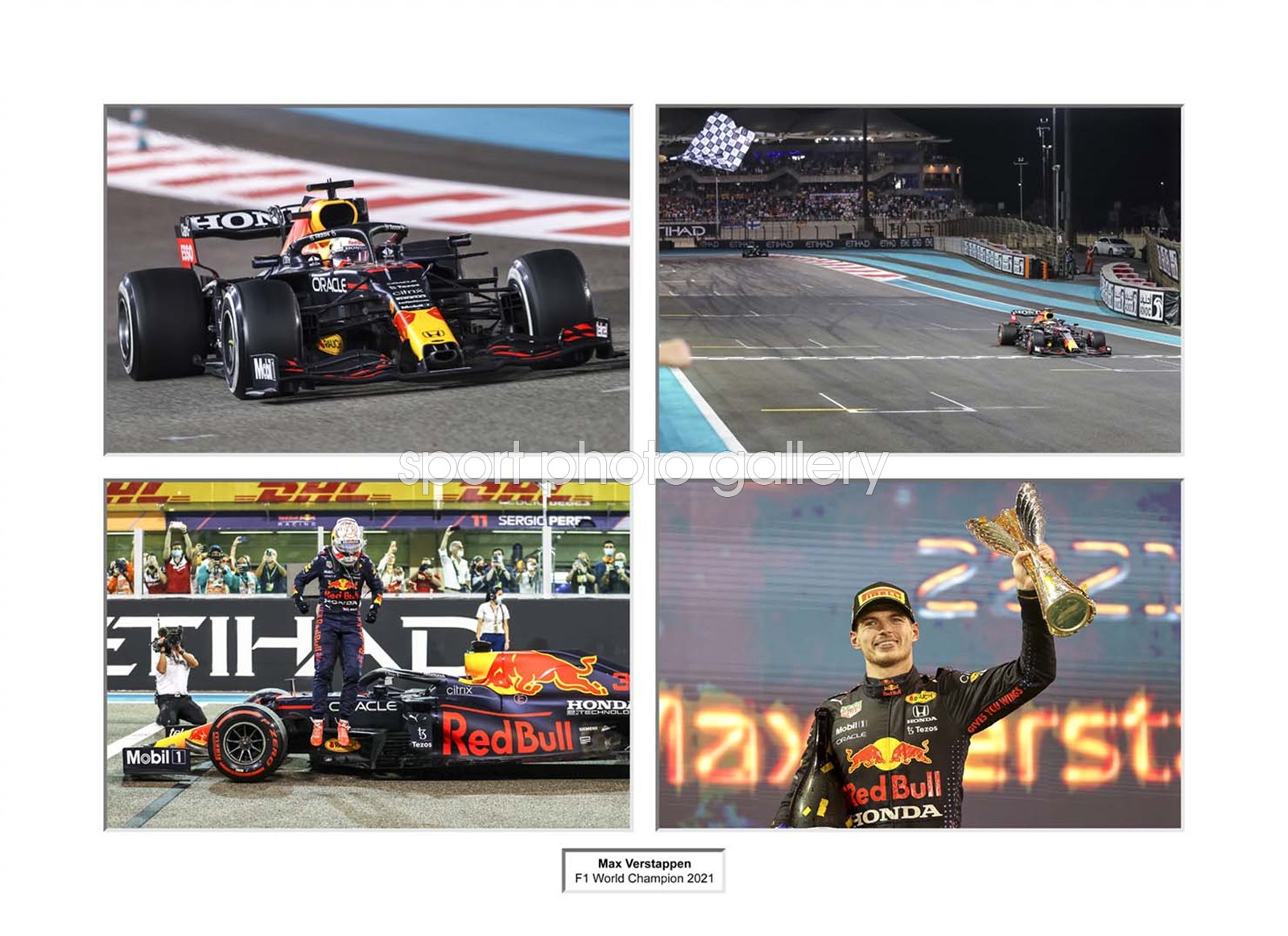 Max Verstappen F1 World Champion 2021 Special