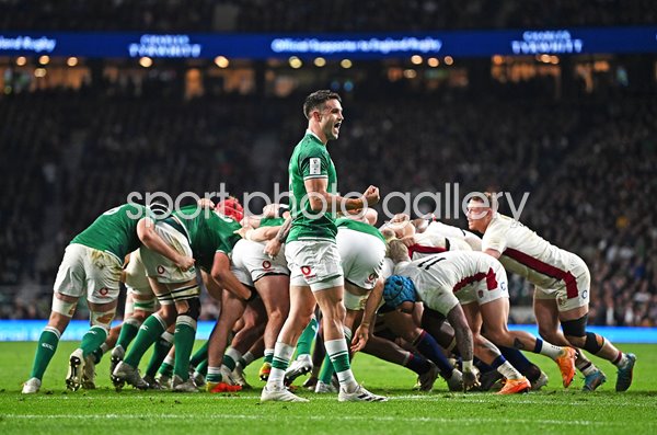 Conor Murray Ireland celebrates v England Twickenham Six Nations 2022