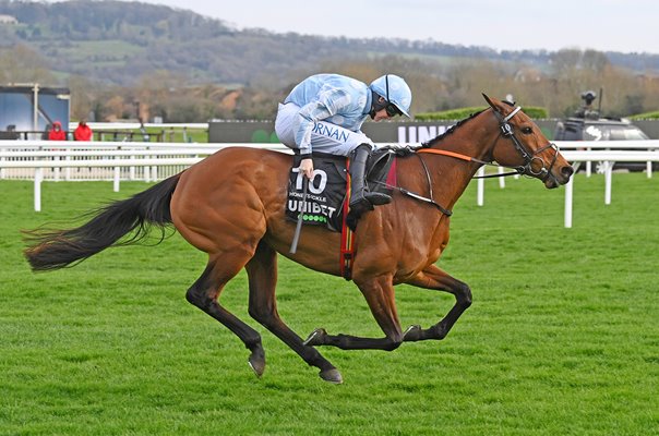 Rachael Blackmore & Honeysuckle Champion Hurdle Cheltenham Festival 2022 