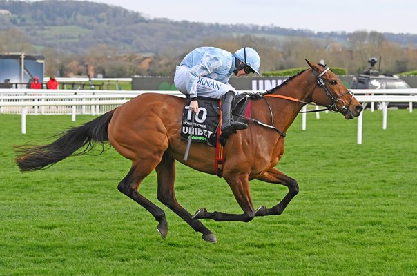 Rachael Blackmore & Honeysuckle Champion Hurdle Cheltenham Festival 2022 