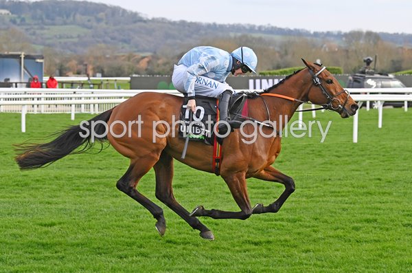 Rachael Blackmore & Honeysuckle Champion Hurdle Cheltenham Festival 2022 