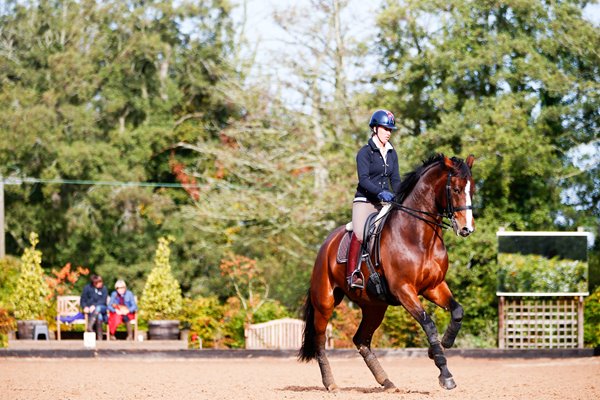 Charlotte Dujardin Dressage Gold Medalist on Valegro