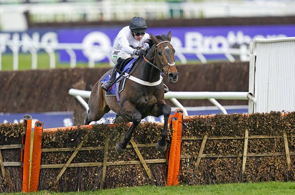 Nico de Boinville & Constitution Hill win Supreme Novices Hurdle Cheltenham 2022 