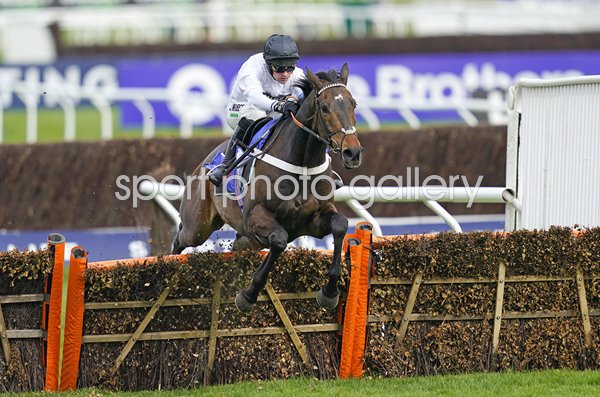 Nico de Boinville & Constitution Hill win Supreme Novices Hurdle Cheltenham 2022 