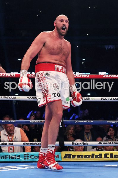 Tyson Fury v Dillian Whyte Heavyweight Fight Wembley 2022