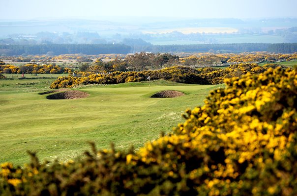 Par 4 4th Montrose Medal Course Montrose Golf Links